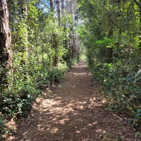 Flat Σαιν-Ζαν-ντε-Μον