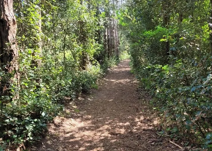 Flat Σαιν-Ζαν-ντε-Μον